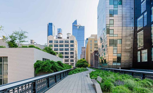 City park with skyscrapers